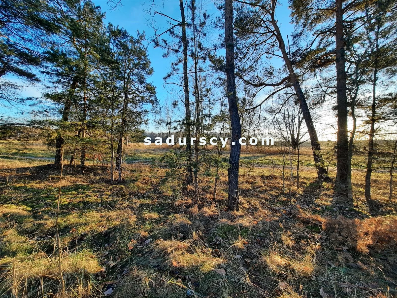 Działka 2 500,00 m², oferta nr , BS8-GS-305812-6, Góra Kalwaria