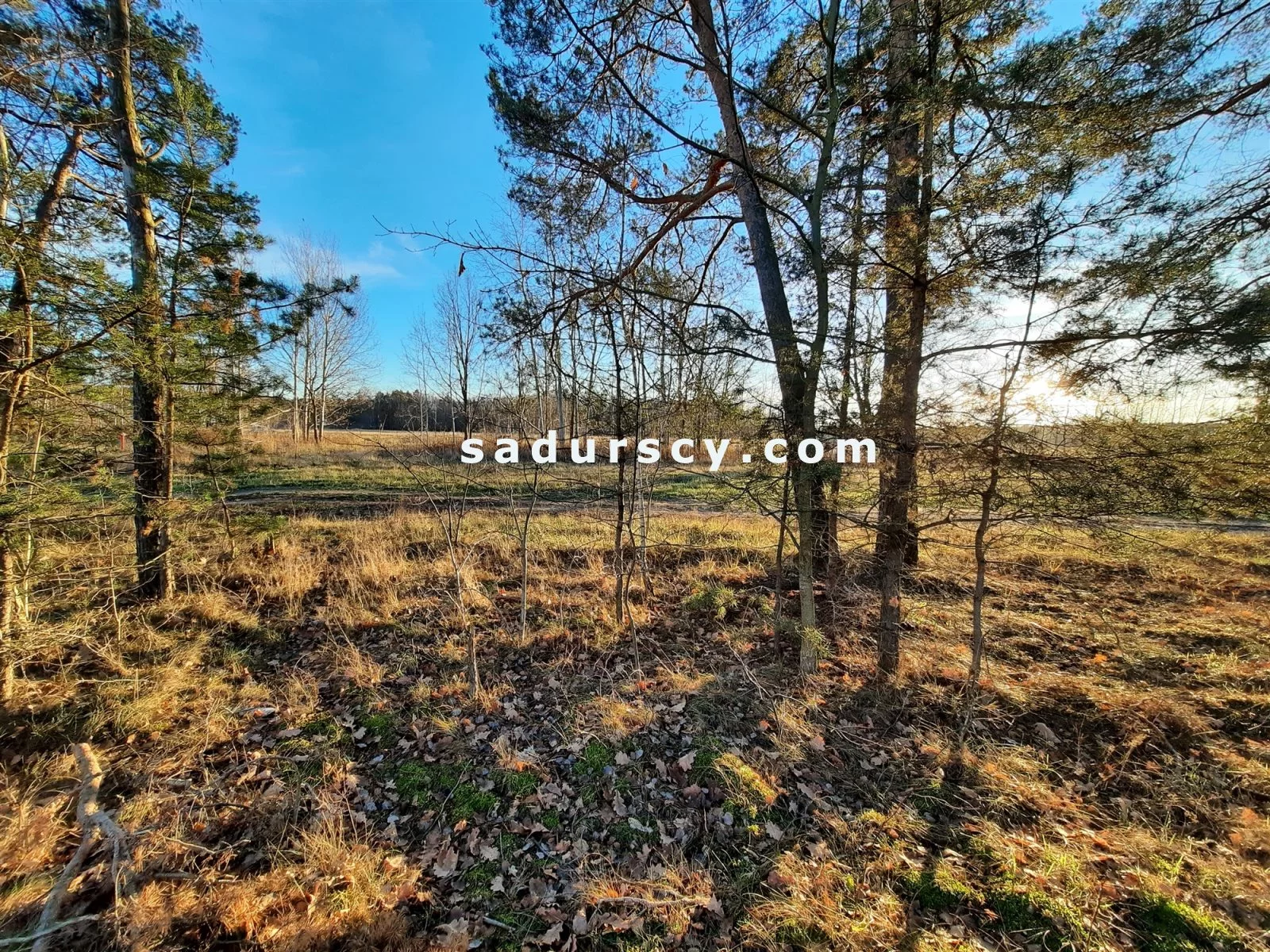 Działka 2 500,00 m², oferta nr , BS8-GS-305812-6, Góra Kalwaria