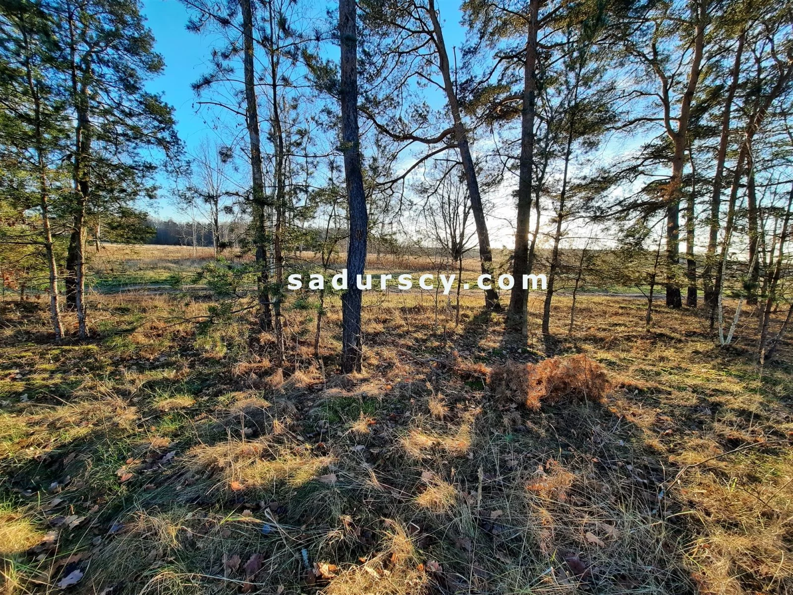 Działka 3 539,00 m², oferta nr , BS8-GS-305851-6, Góra Kalwaria