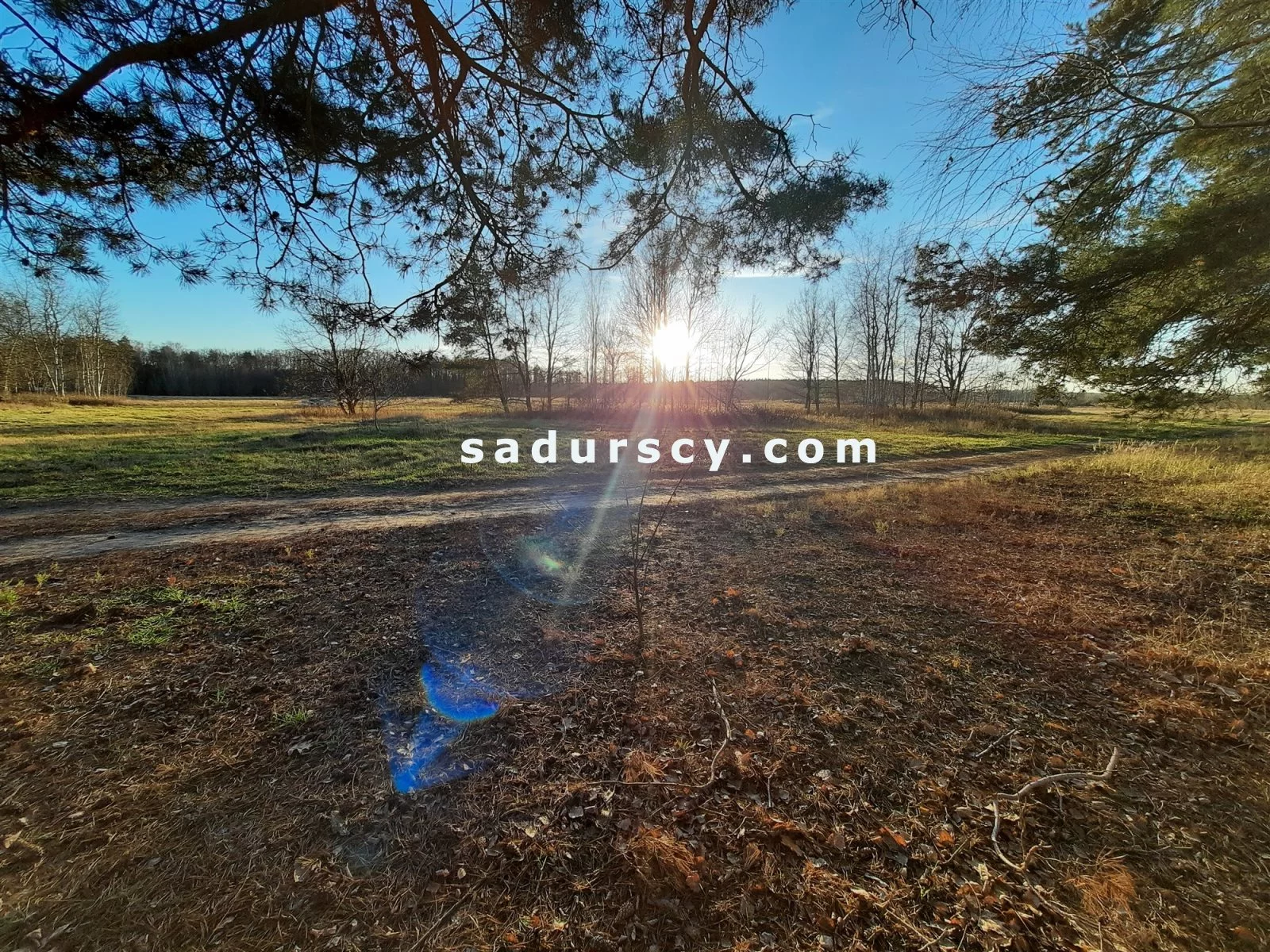 Działka 3 539,00 m², oferta nr , BS8-GS-305851-6, Góra Kalwaria