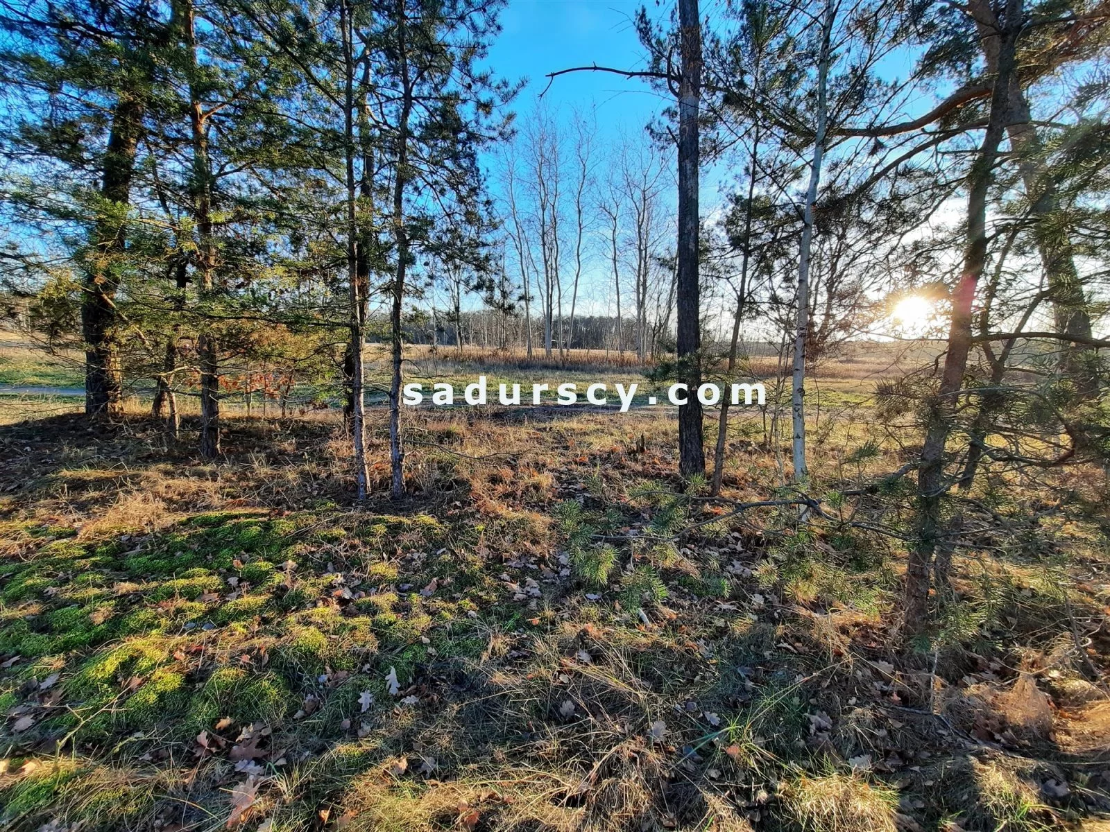 Działka 3 539,00 m², oferta nr , BS8-GS-305851-7, Góra Kalwaria