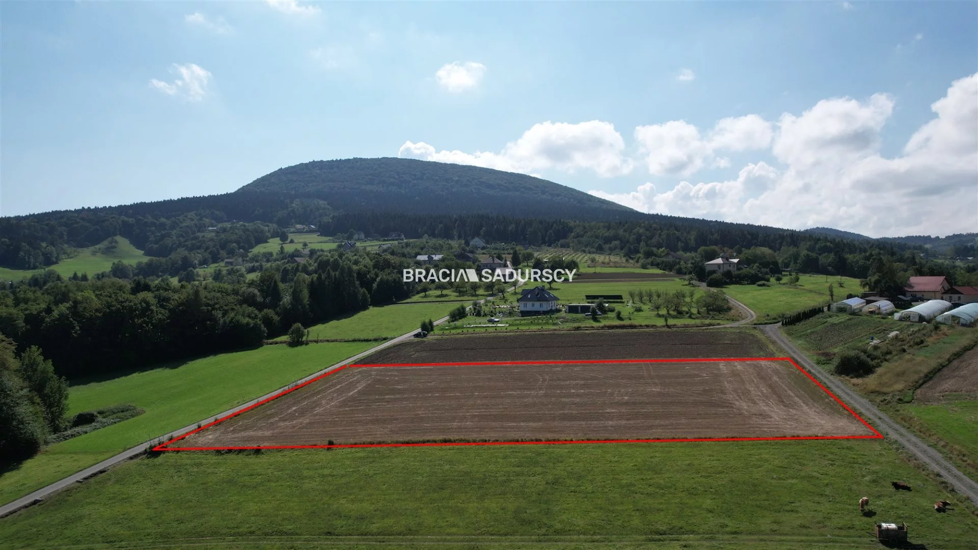 Działka 6 023,00 m², oferta nr , BS5-GS-311505-1, Jodłownik