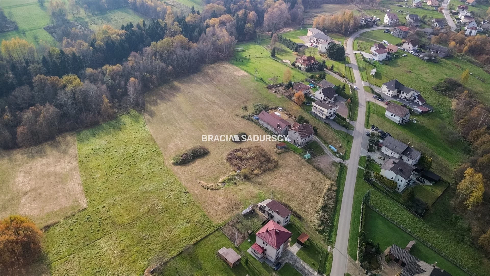 BS2-GS-305384-9 - zdjęcie nr 1