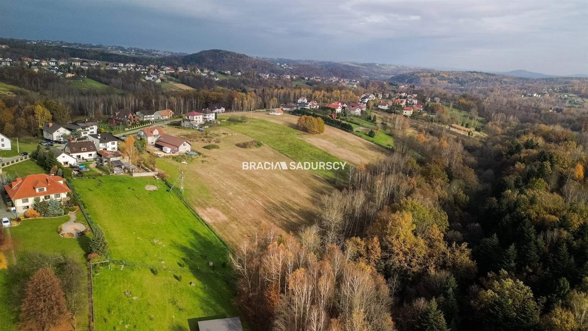 BS2-GS-305384-9 - zdjęcie nr 2