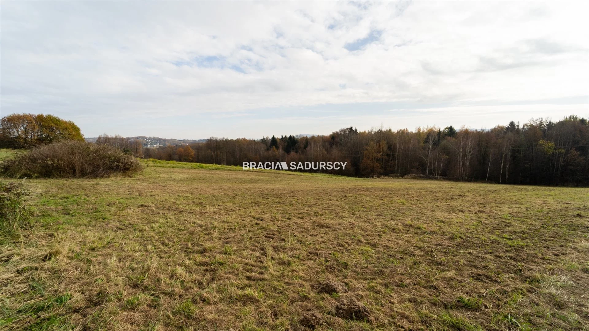 Działka 33 325,00 m², oferta nr , BS2-GS-305384-14, Kalwaria Zebrzydowska