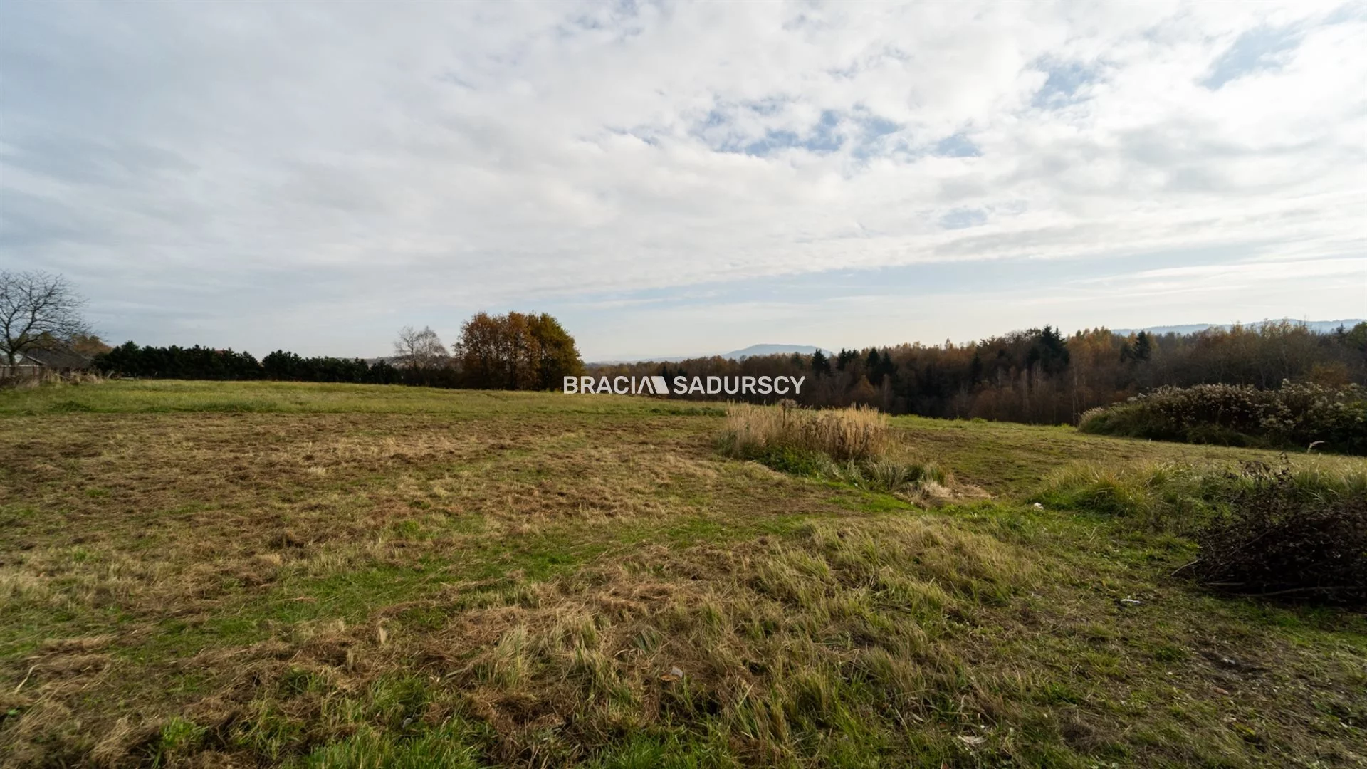 Działka 33 325,00 m², oferta nr , BS2-GS-305384-14, Kalwaria Zebrzydowska