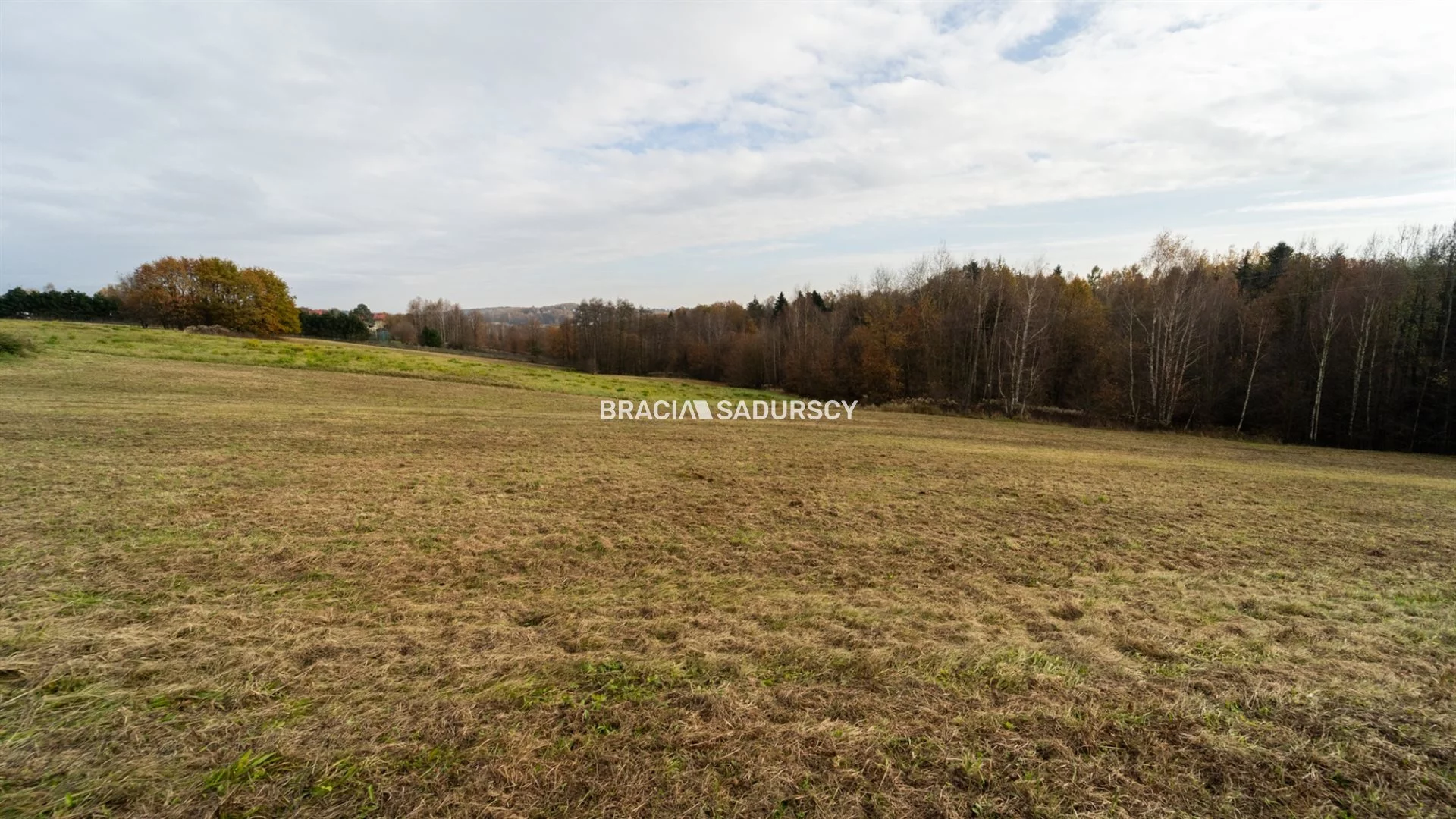 Działka 33 325,00 m², oferta nr , BS2-GS-305384-14, Kalwaria Zebrzydowska