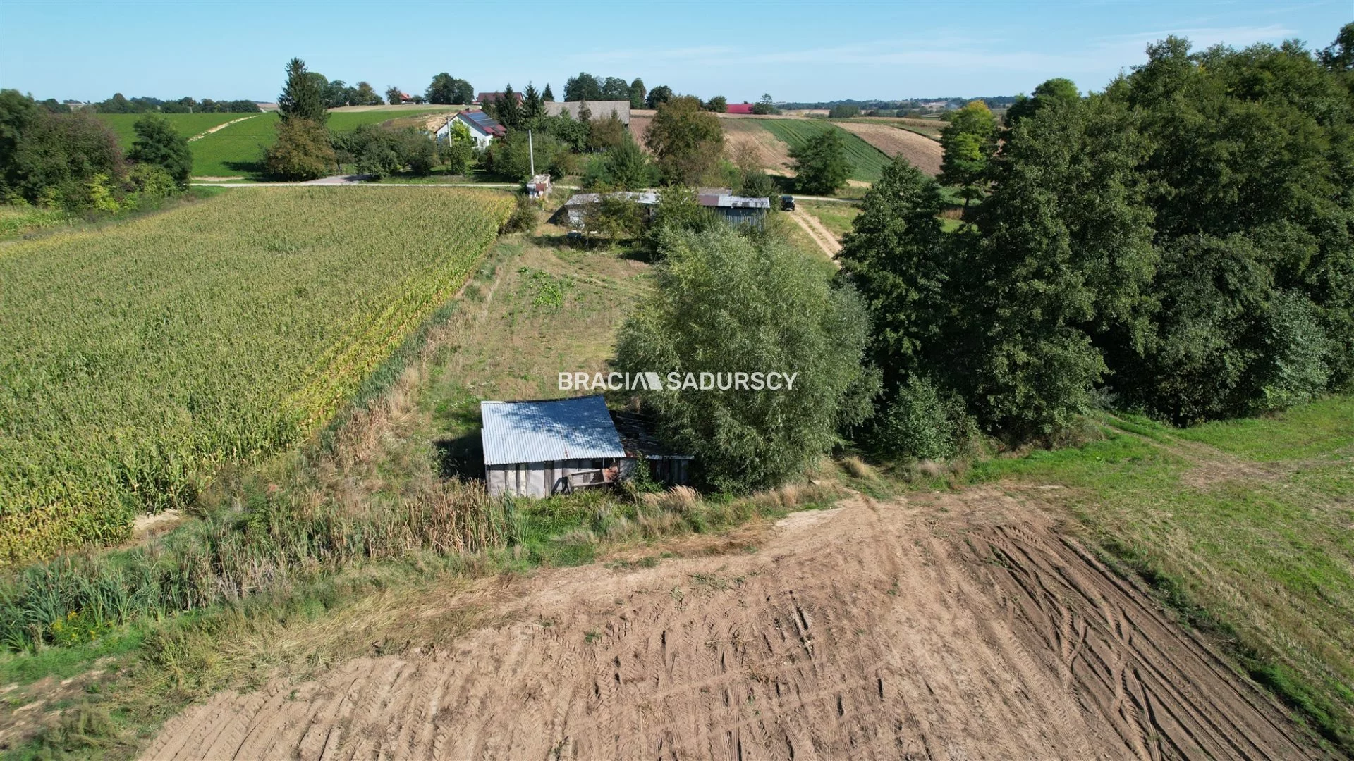 Działka 7 730,00 m², oferta nr , BS5-GS-312004, Kazimierza Wielka