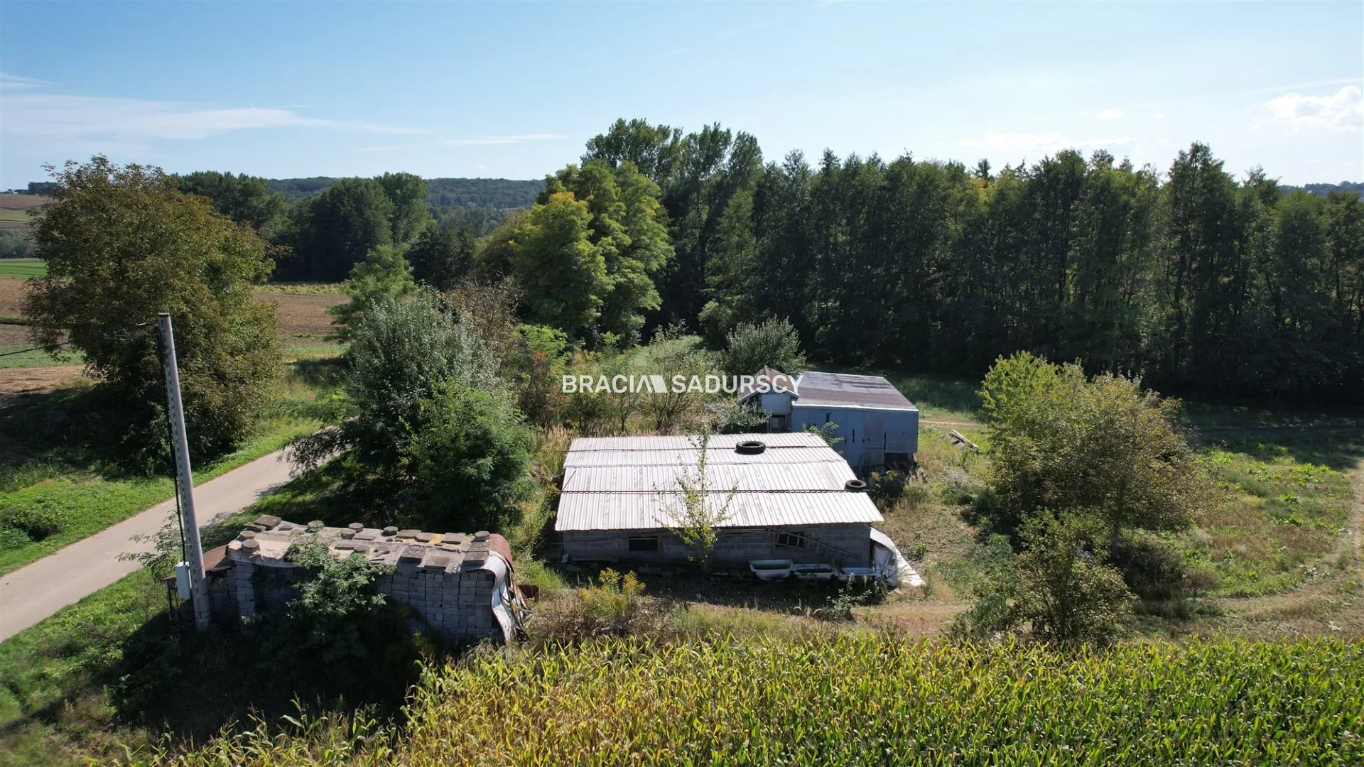 Działka 7 730,00 m², oferta nr , BS5-GS-312004, Kazimierza Wielka