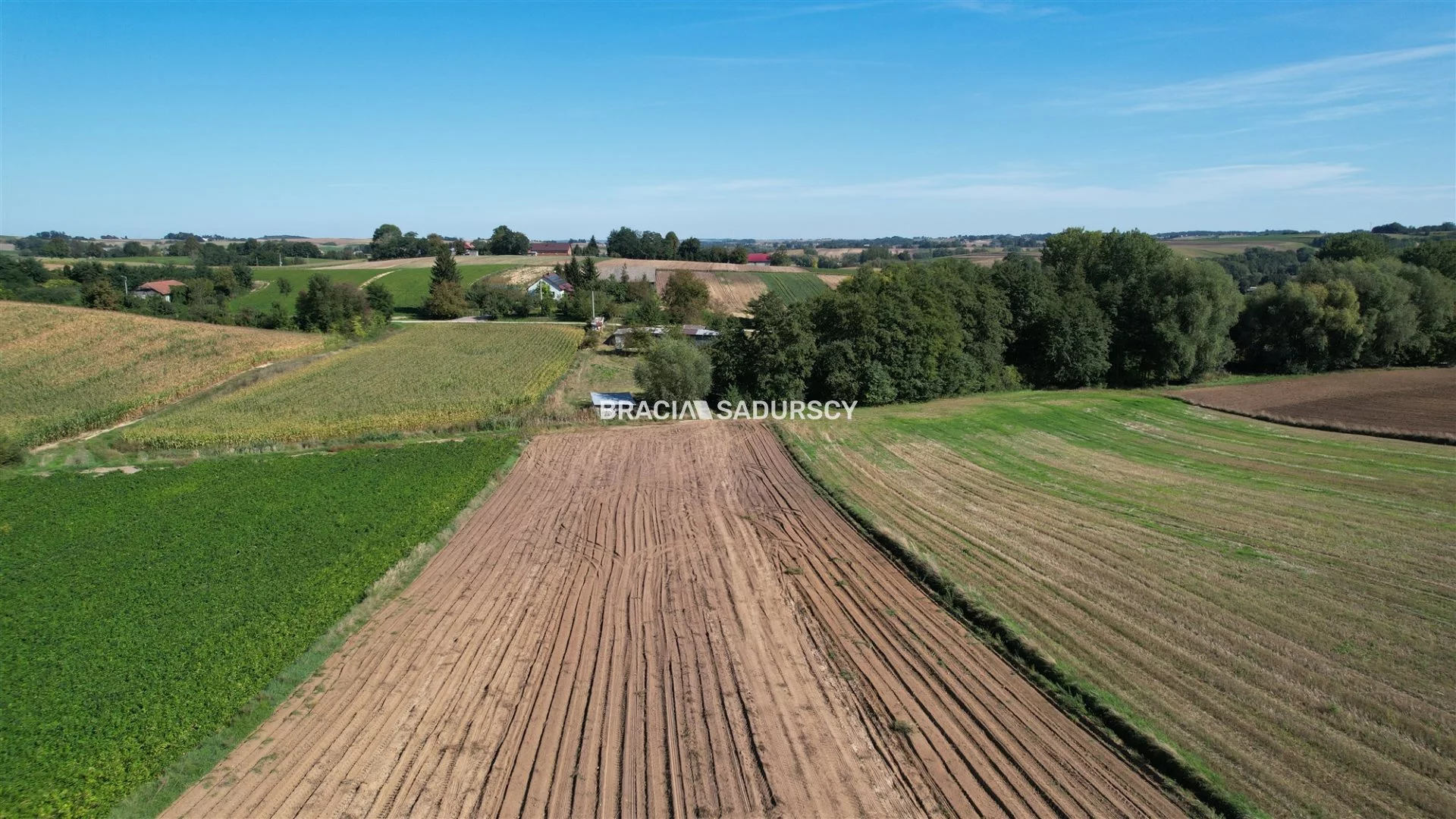 Działka 7 730,00 m², oferta nr , BS5-GS-312004-1, Kazimierza Wielka