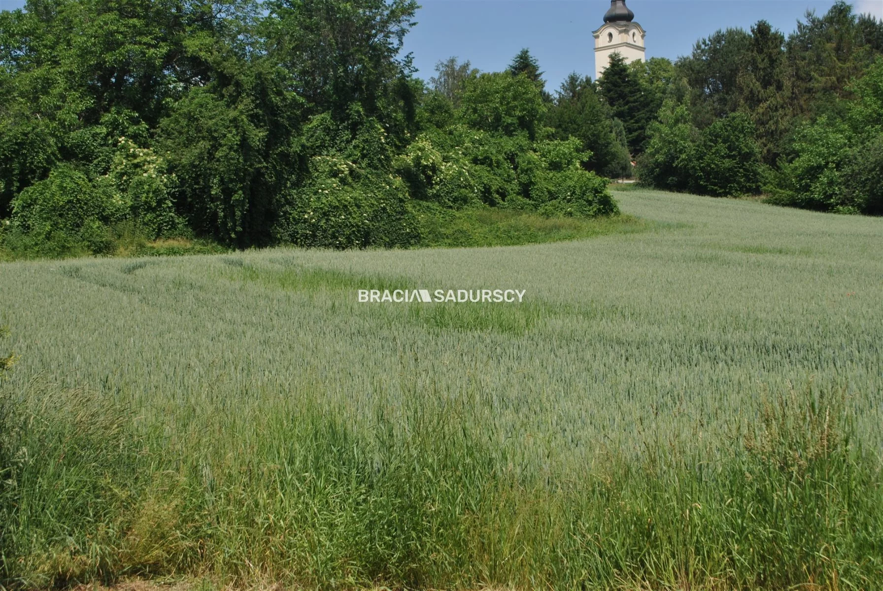Apartamenty BS1-GS-309586-139 Kłaj
