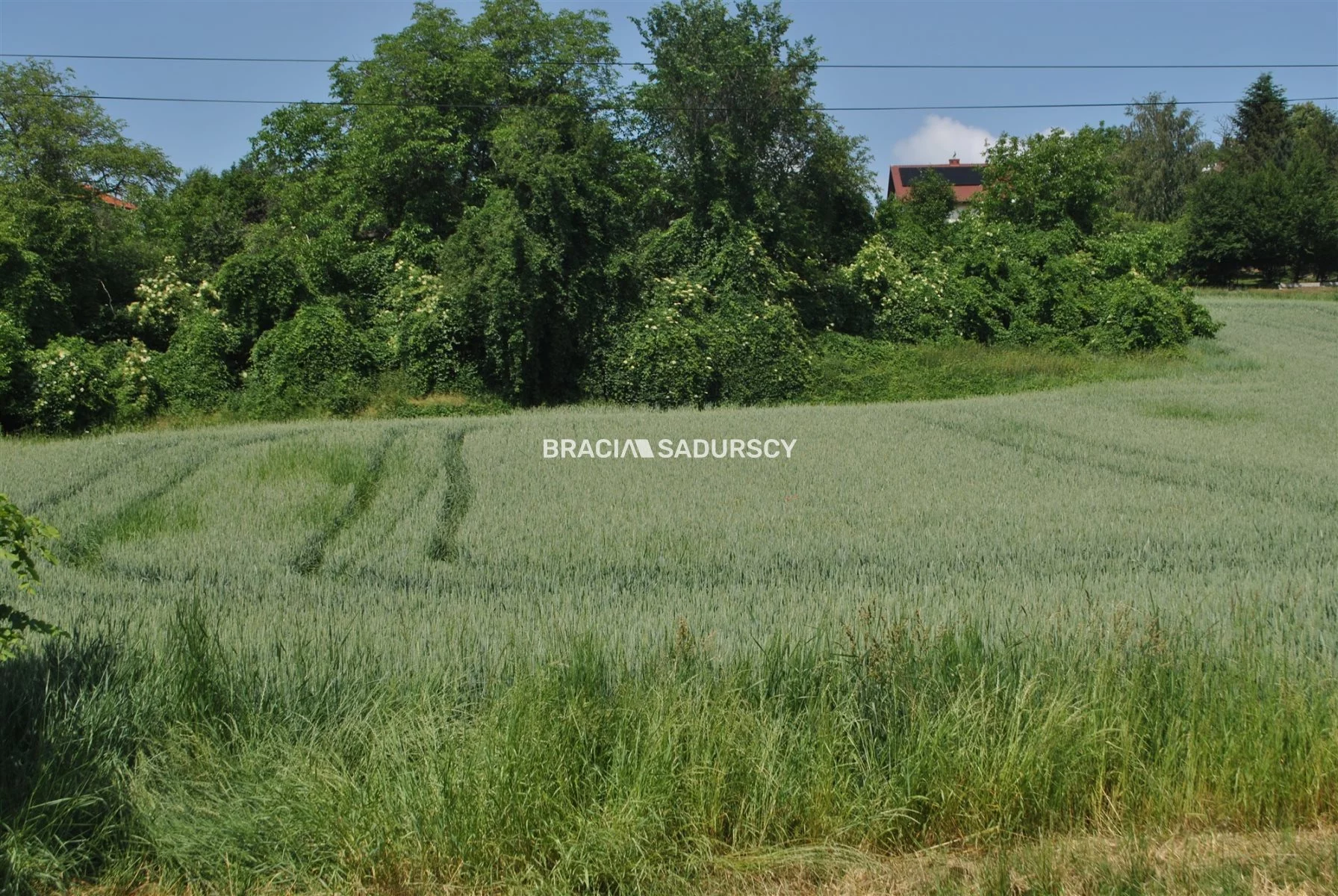 BS1-GS-309586-139 - zdjęcie nr 0