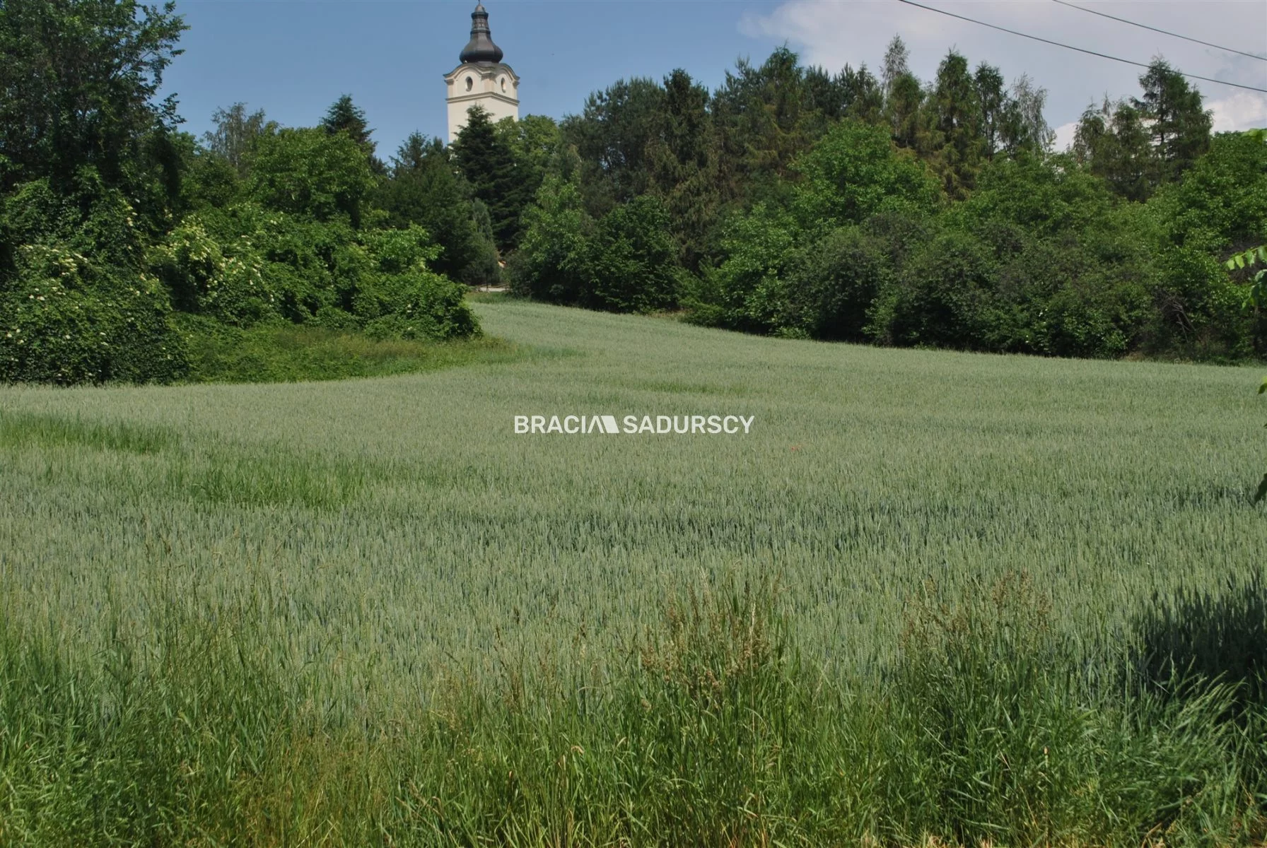 BS1-GS-309586-139 - zdjęcie nr 1