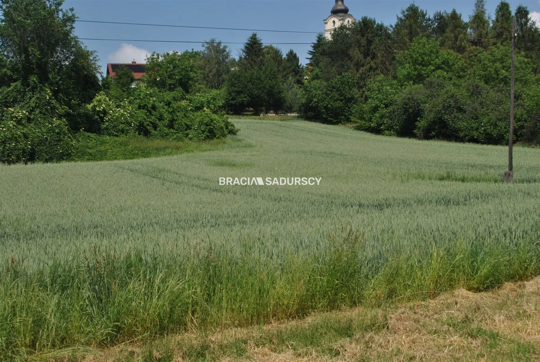 BS1-GS-309586-139 - zdjęcie nr 2