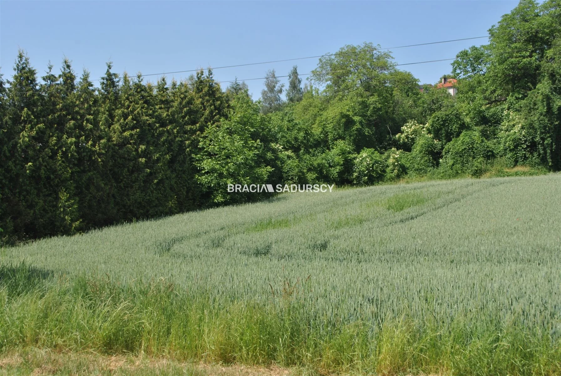 Działka 4 719,00 m², oferta nr , BS1-GS-309586-141, Kłaj