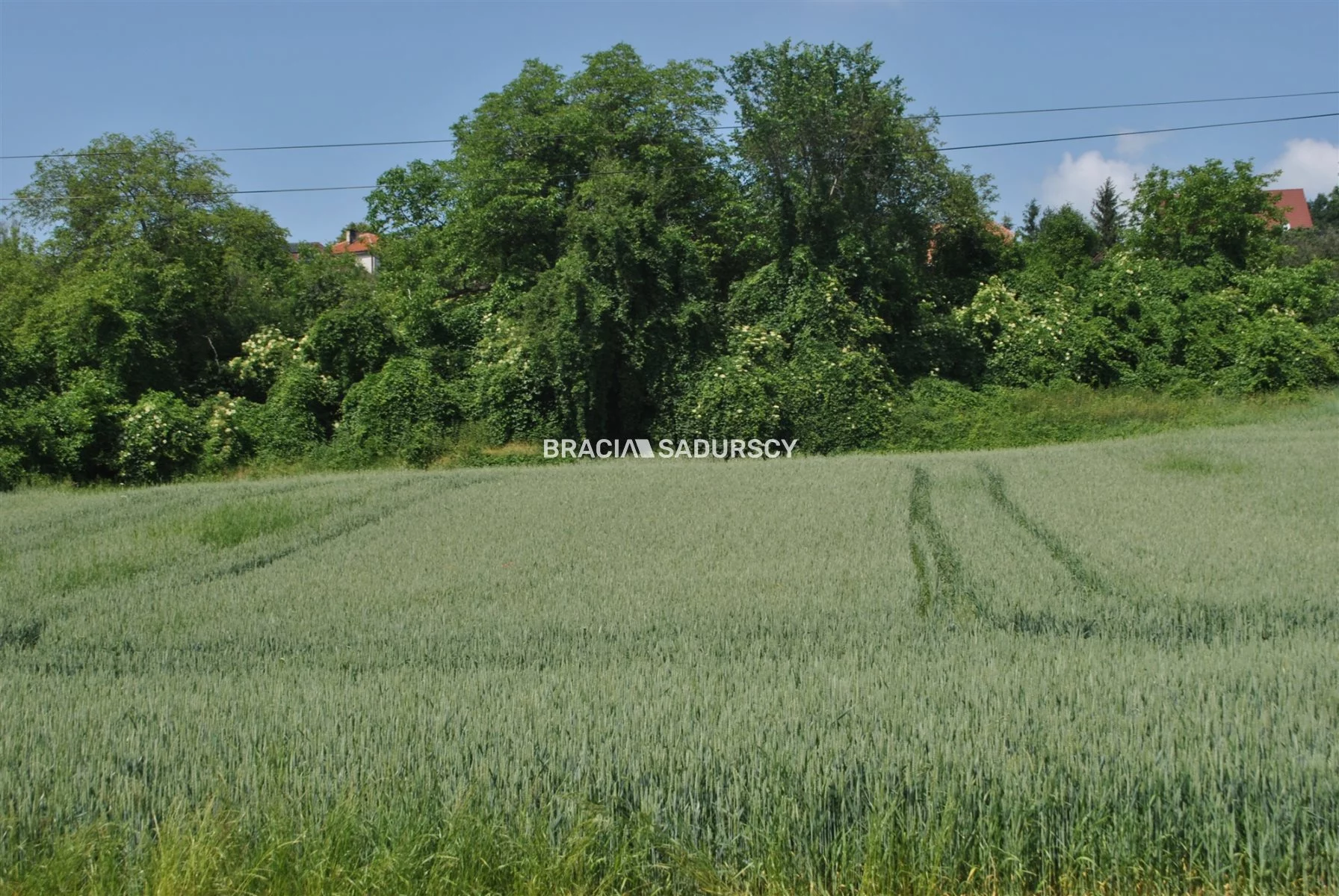 Działka 4 719,00 m², oferta nr , BS1-GS-309586-144, Kłaj