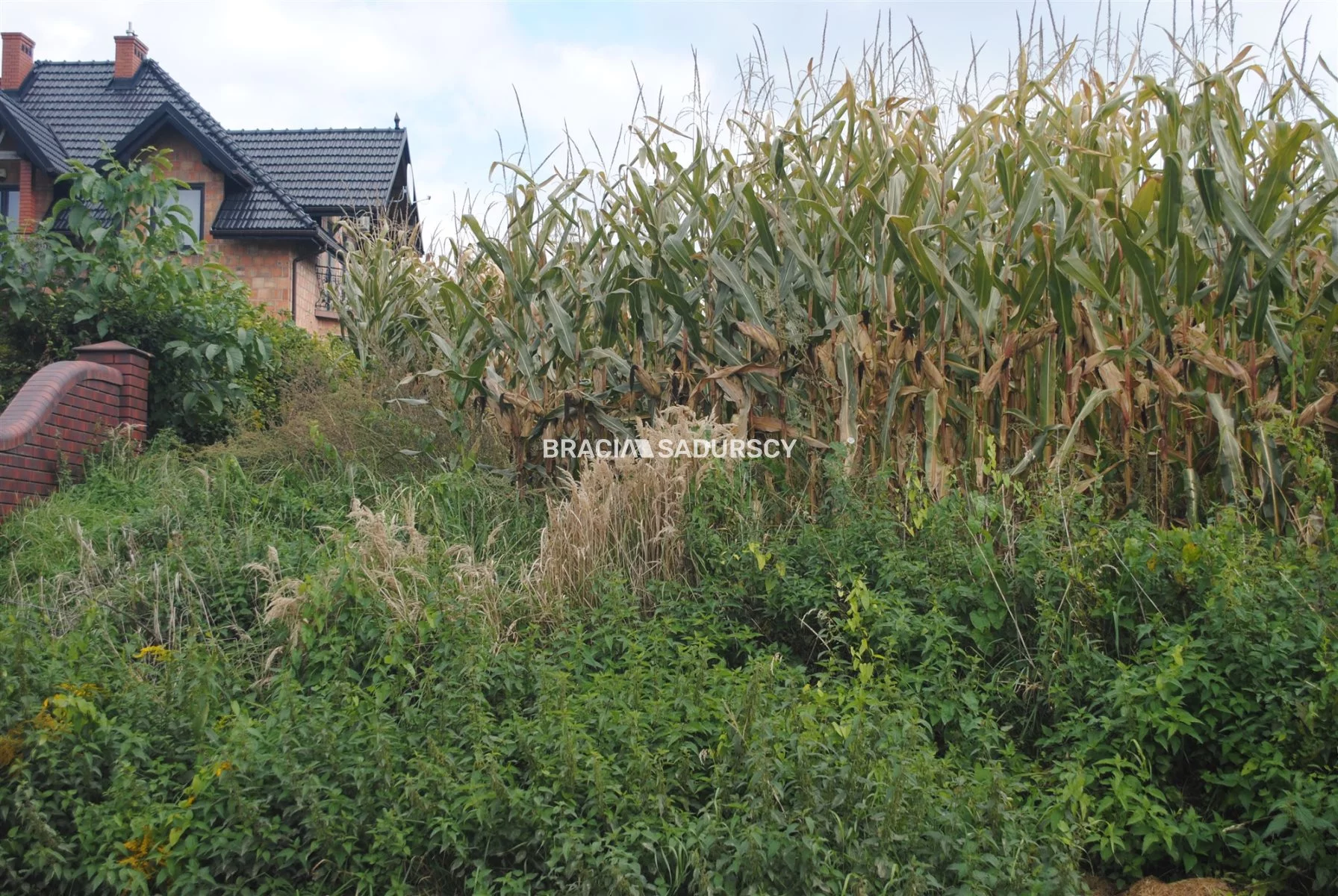Działka 6 744,00 m², oferta nr , BS1-GS-312215, Proszowice, Kolejowa