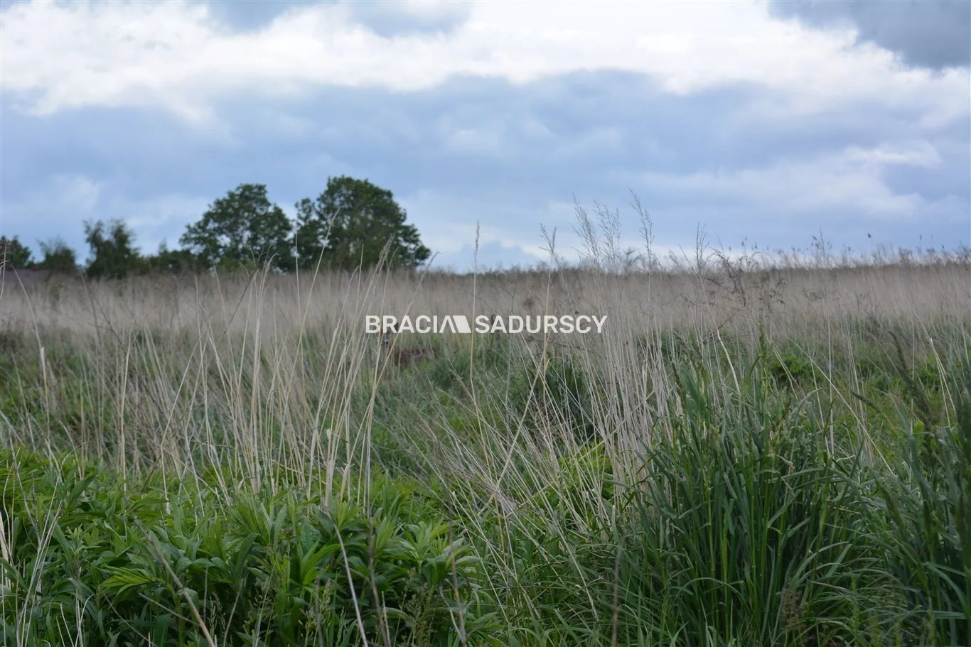 BS5-GS-286389-202 - zdjęcie nr 4