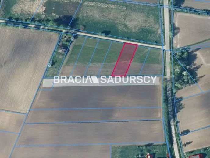 BS5-GS-286388-201 - zdjęcie nr 2