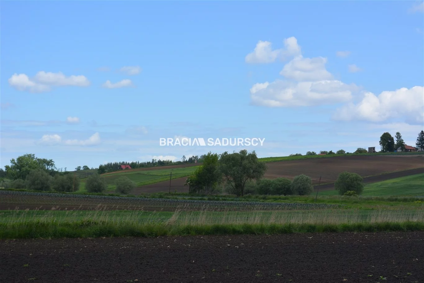 BS5-GS-286388-201 - zdjęcie nr 3