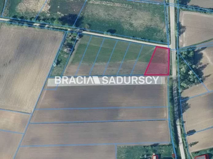 BS5-GS-286387-202 - zdjęcie nr 1