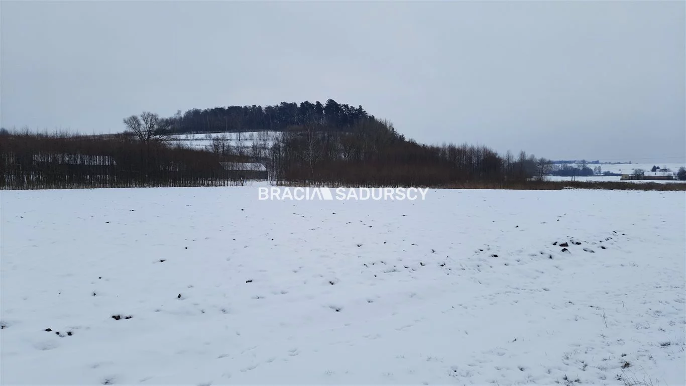 Działka 4 800,00 m², oferta nr , BS5-GS-286272-173, Koniusza