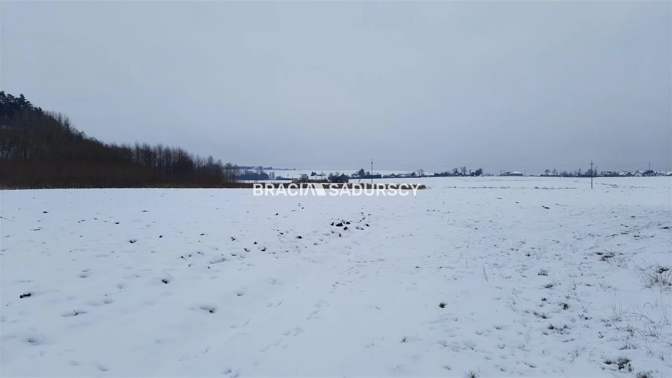 Działka 4 800,00 m², oferta nr , BS5-GS-286272-173, Koniusza