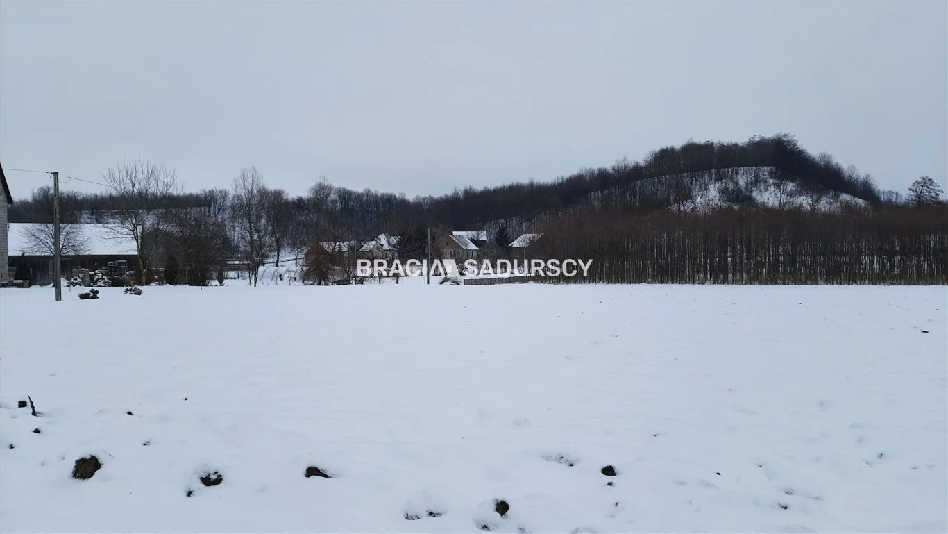 Działka 4 800,00 m², oferta nr , BS5-GS-286272-173, Koniusza