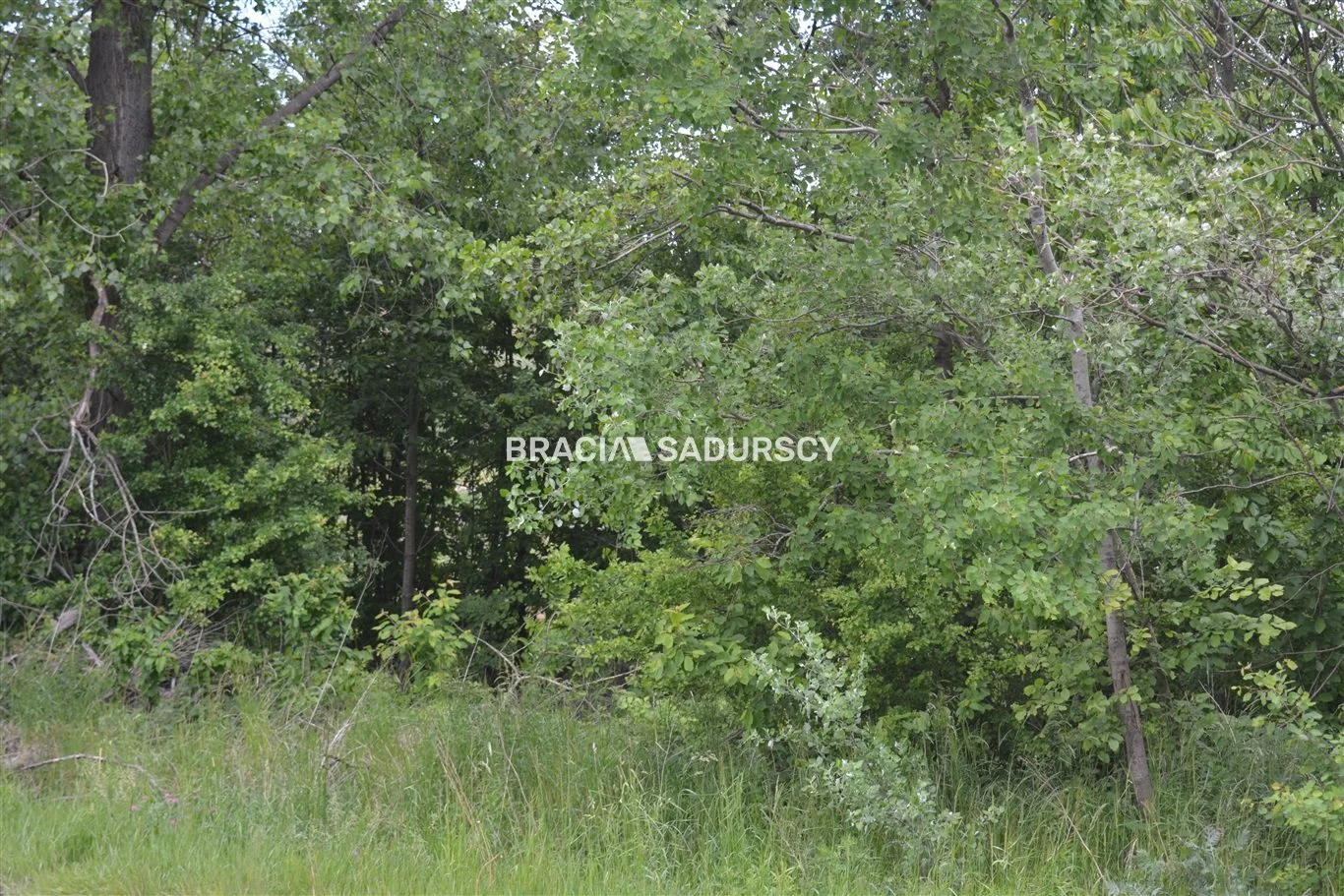 Działka 1 313,00 m², oferta nr , BS5-GS-286388-204, Koniusza