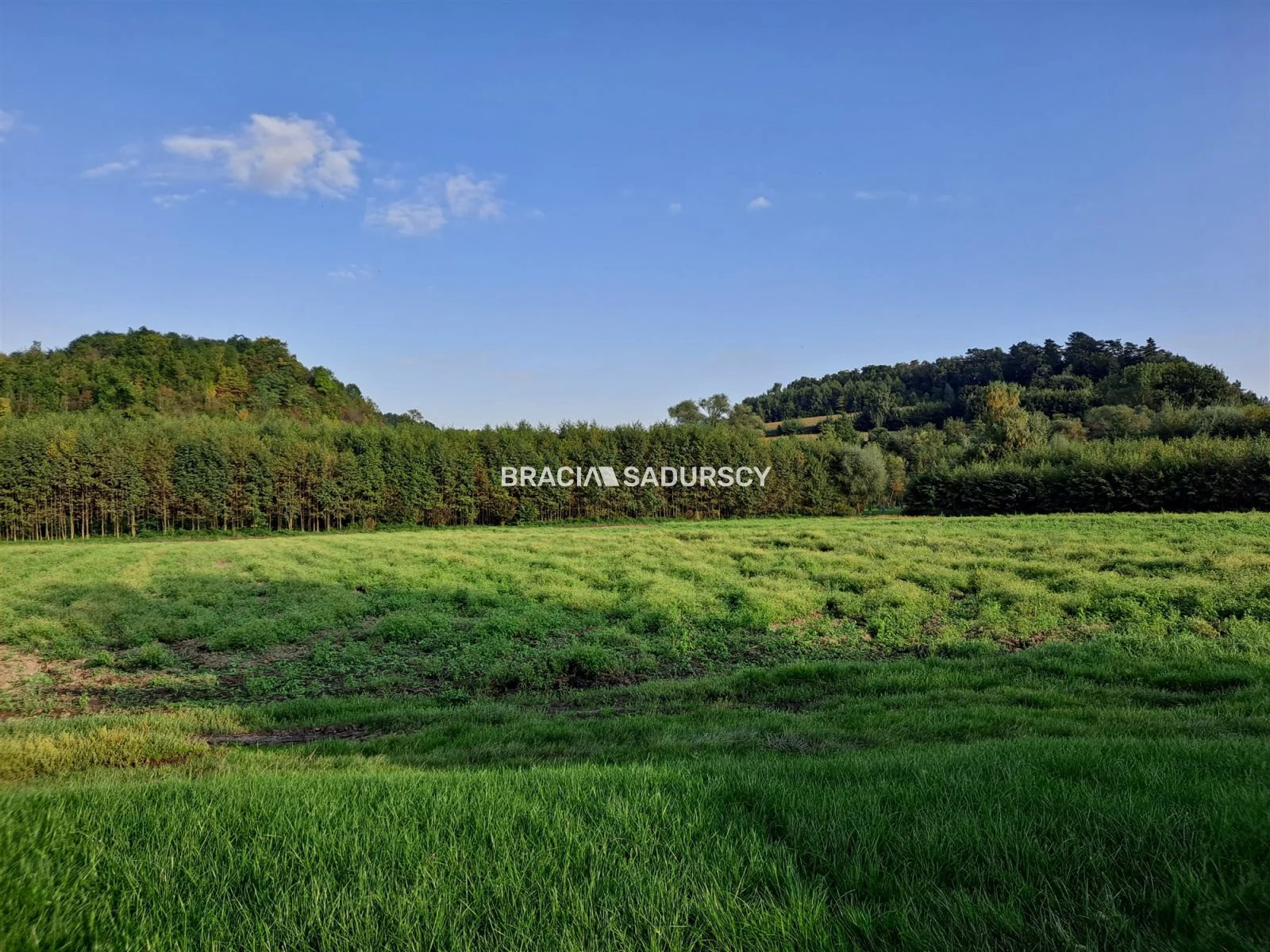 Działka 4 800,00 m², oferta nr , BS5-GS-286272-174, Koniusza