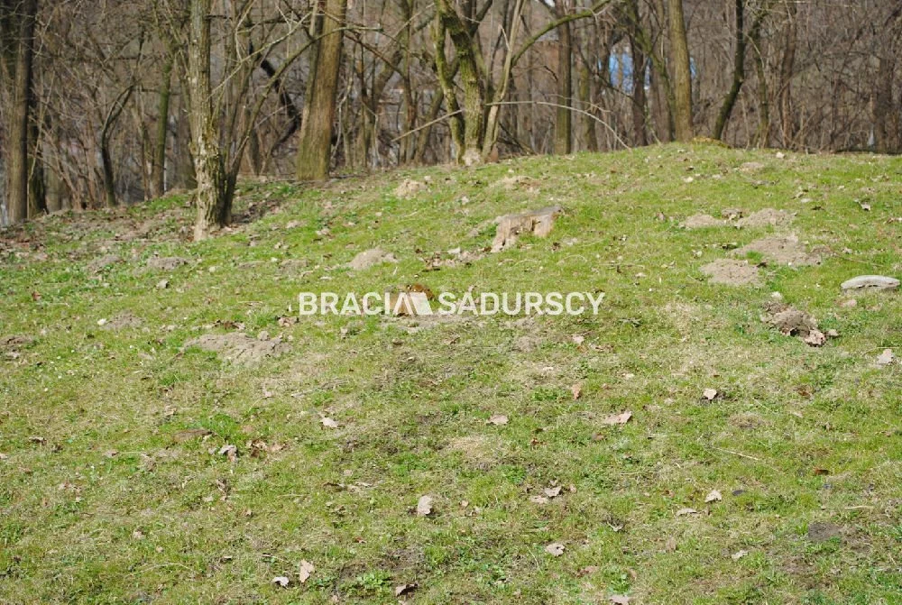 BS1-GS-309603-403 - zdjęcie nr 1