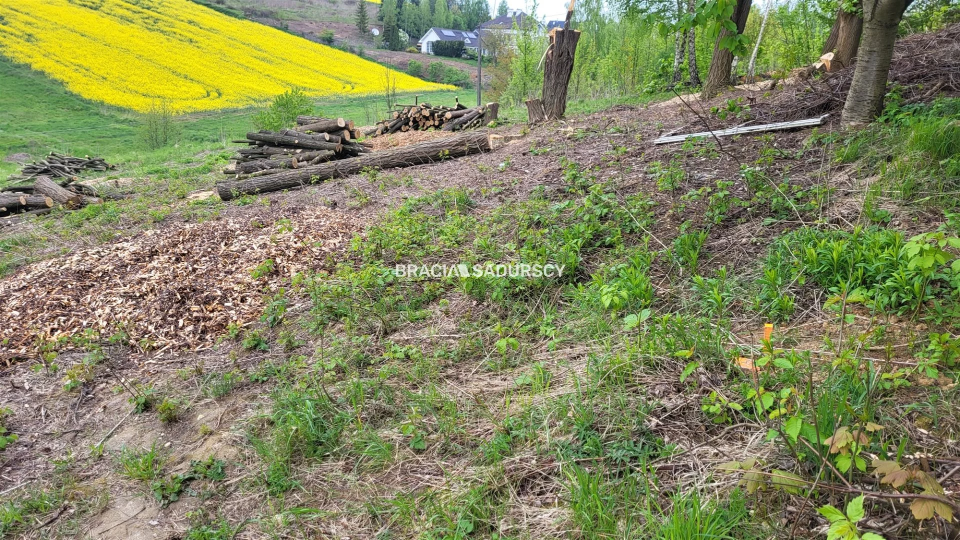 Działka 3 642,00 m², oferta nr , BS4-GS-309654-32, Michałowice, Koźlica