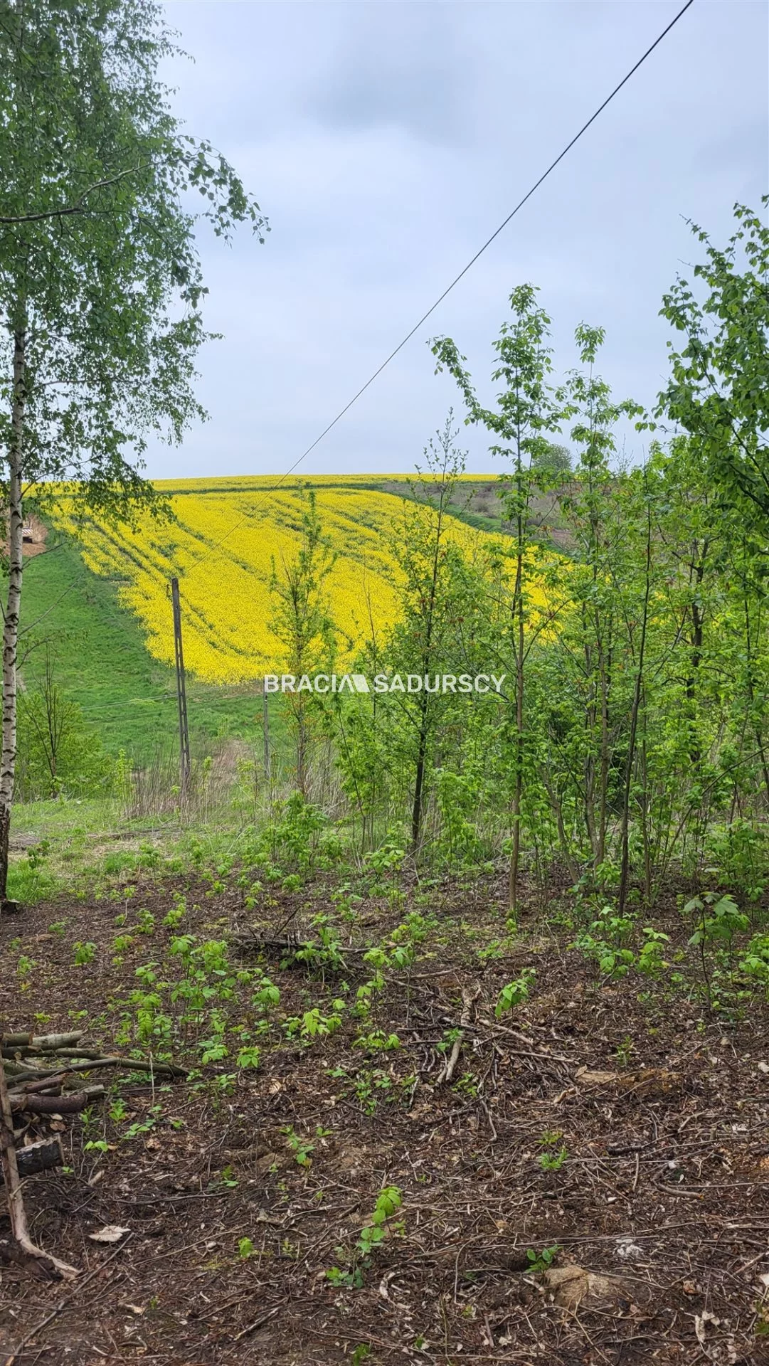 Działka 3 642,00 m², oferta nr , BS4-GS-309654-32, Michałowice, Koźlica