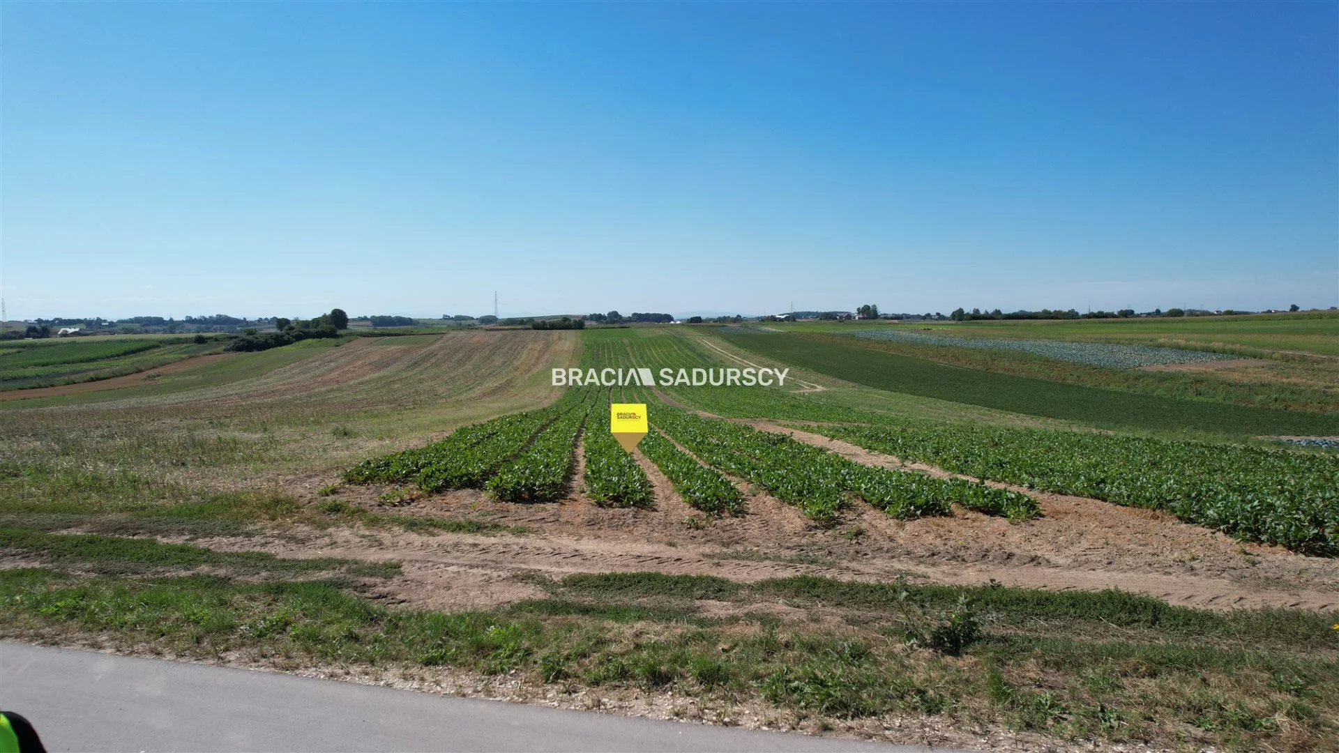 Działka 13 017,00 m², oferta nr , BS5-GS-311184, Proszowice, Krakowska