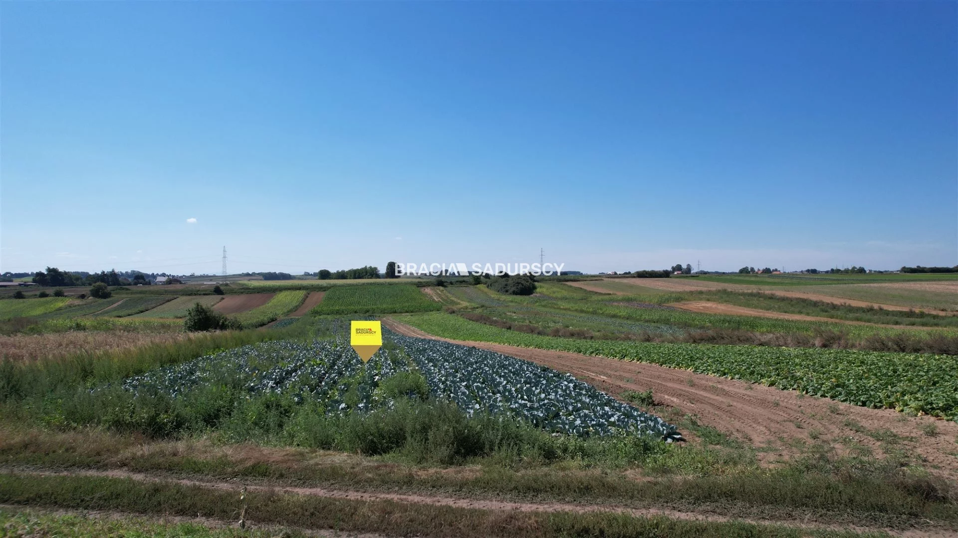 Działka 13 017,00 m², oferta nr , BS5-GS-311184, Proszowice, Krakowska