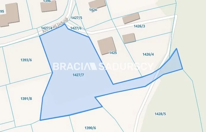 Działka na sprzedaż, 2 300,00 m², oferta nr BS2-GS-296995-29