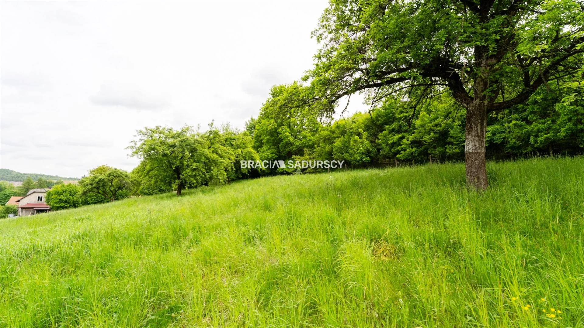 Działka 3 600,00 m², oferta nr , BS3-GS-306194-1, Krzeszowice