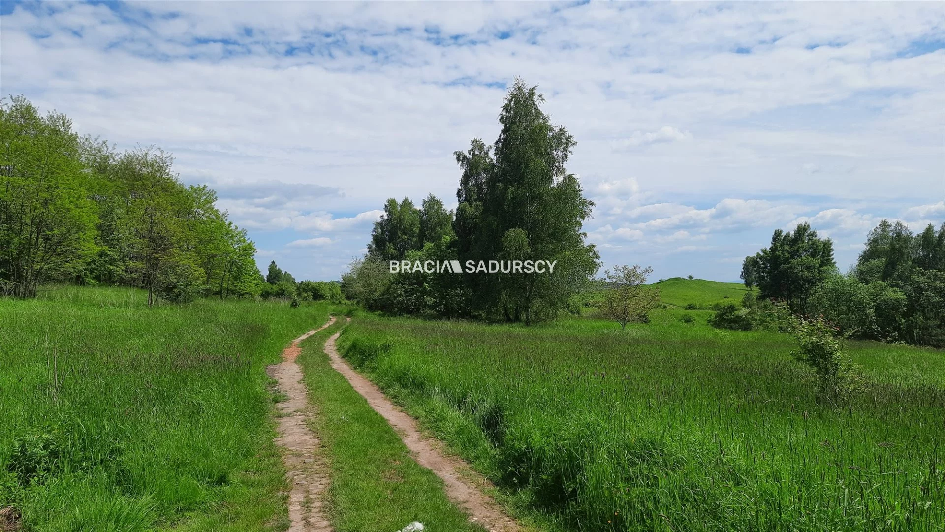 Działka 2 013,00 m², oferta nr , BS5-GS-293552-166, Krzeszowice