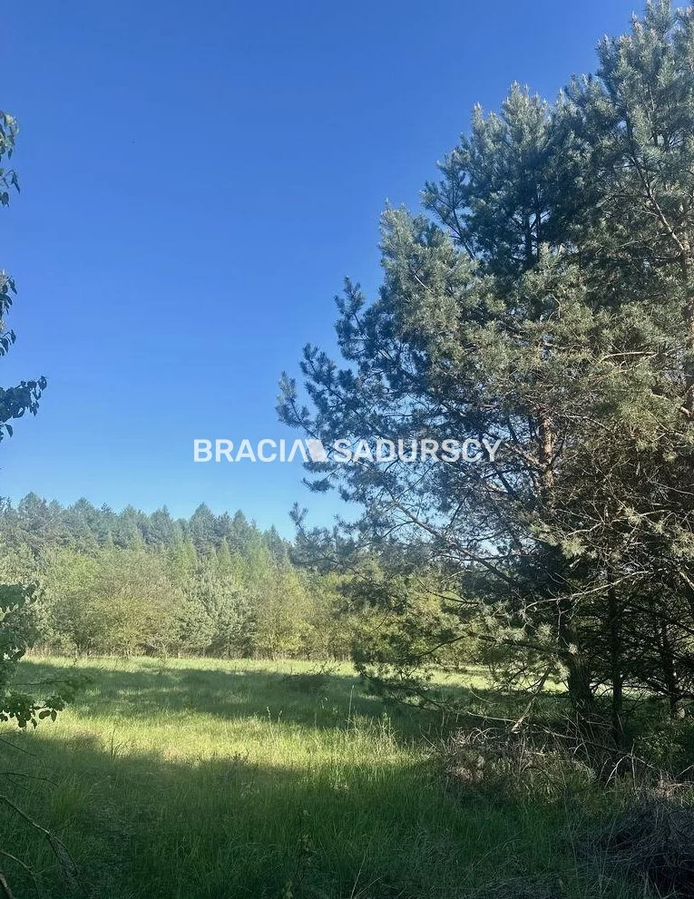 Działka 13 750,00 m², oferta nr , BS5-GS-311188-3, Łazy