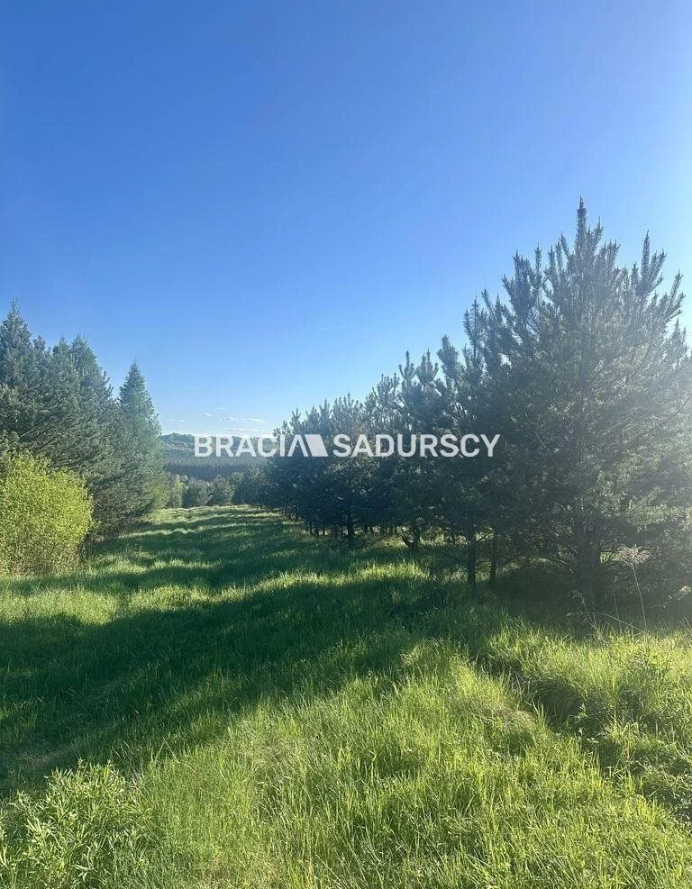 Działka 13 750,00 m², oferta nr , BS5-GS-311188-3, Łazy