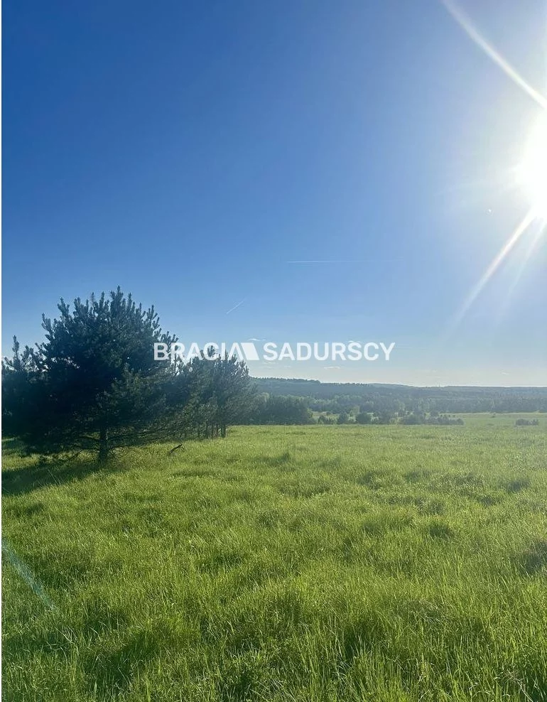 Działka 13 750,00 m², oferta nr , BS5-GS-311188-5, Łazy