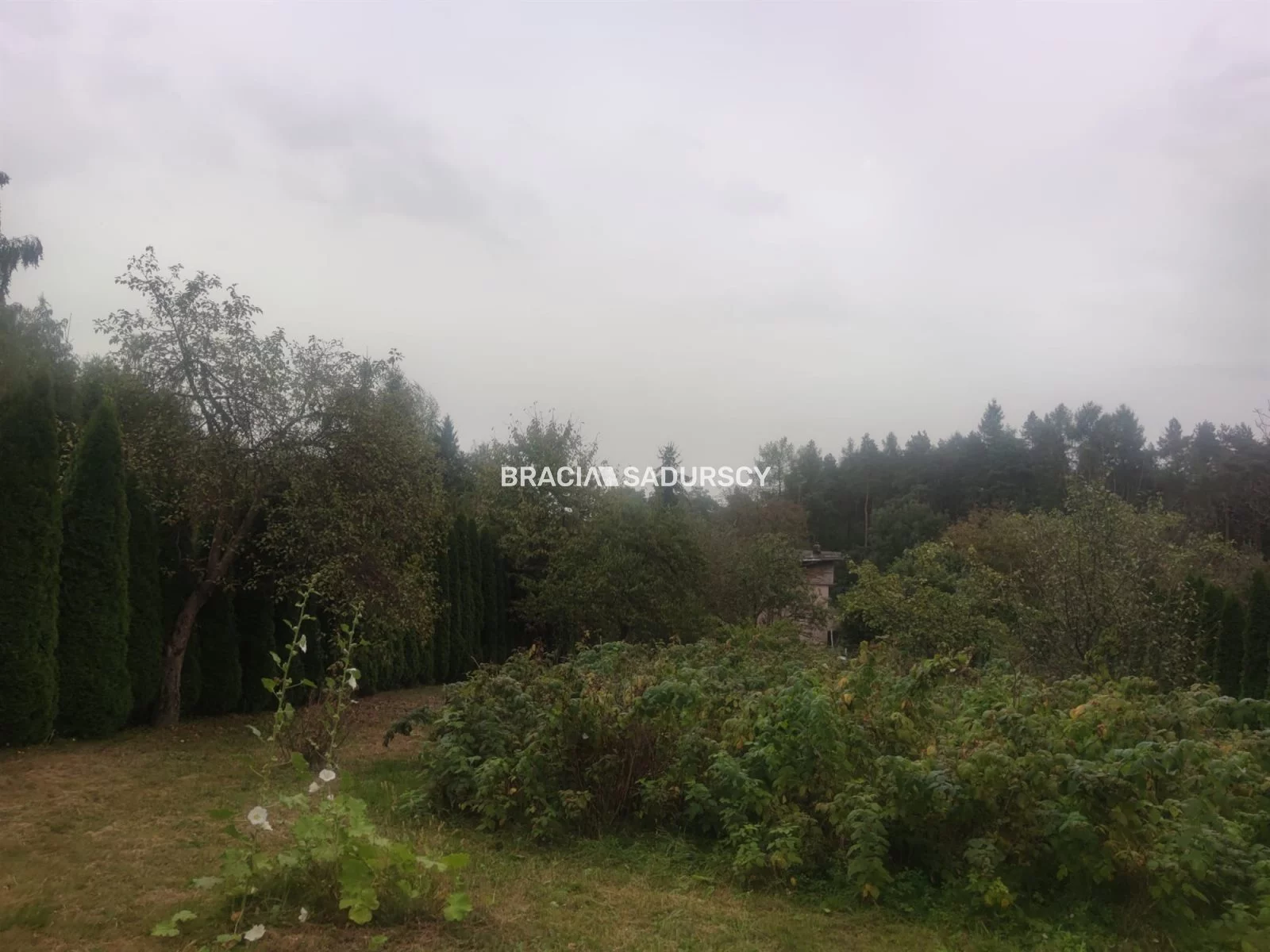 Działka 2 800,00 m², oferta nr , BS5-GS-303134-27, Liszki, Leśna