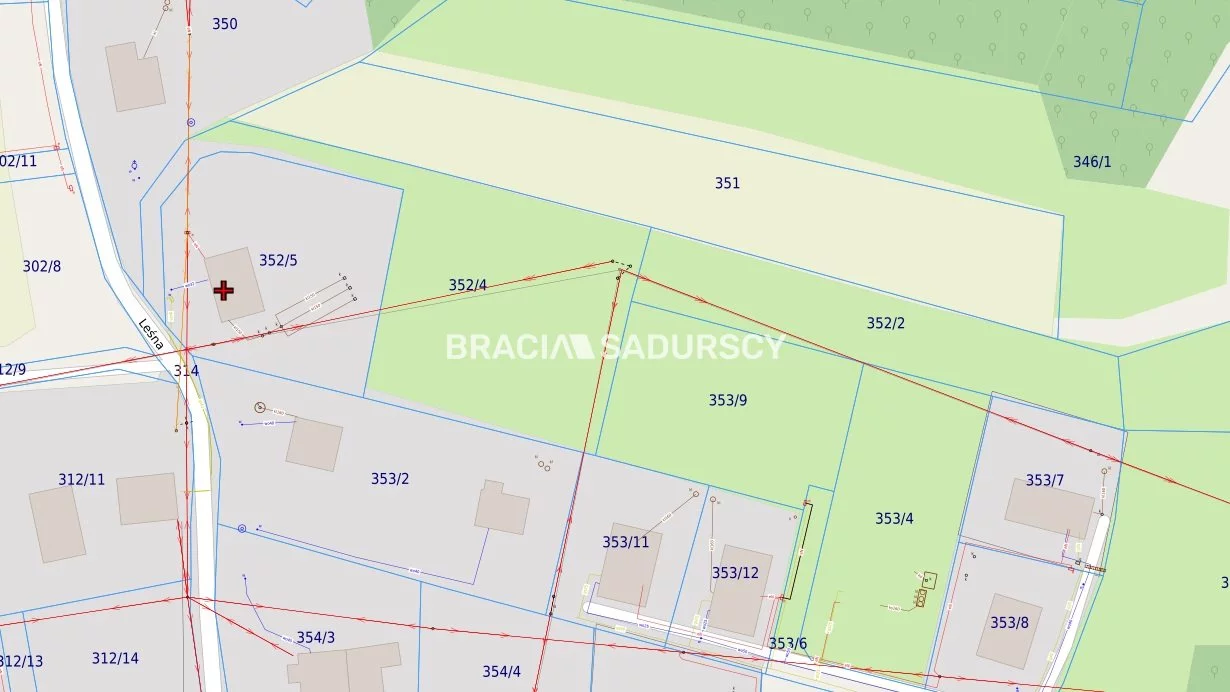 Działka 3 958,00 m², oferta nr , BS5-GS-310913, Mogilany, Leśna