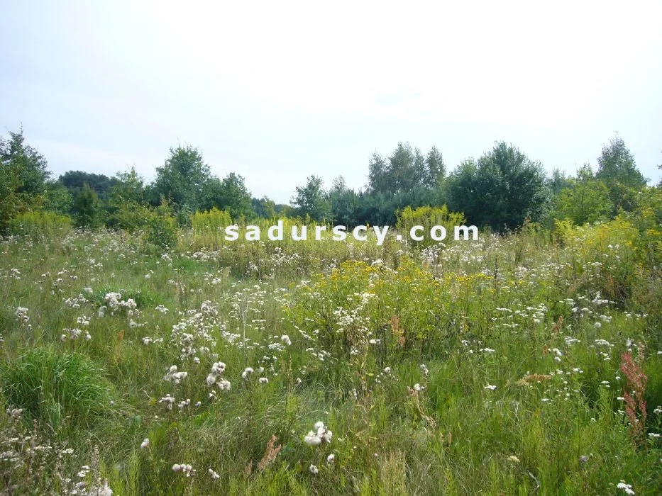 Działka 1 000,00 m², oferta nr , BS8-GS-301135-123, Lesznowola
