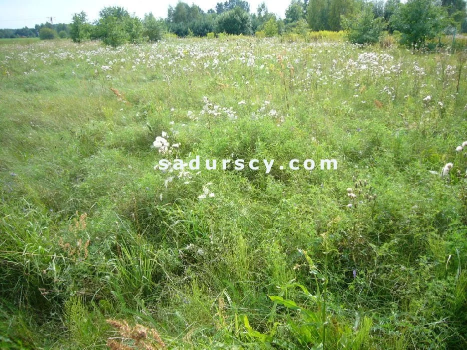 Działka 1 000,00 m², oferta nr , BS8-GS-301135-123, Lesznowola