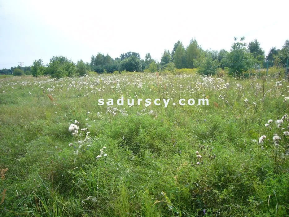 Działka 7 000,00 m², oferta nr , BS8-GS-305246-123, Lesznowola
