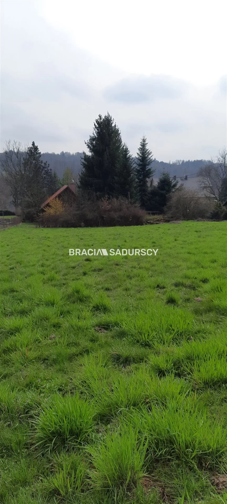 BS2-GS-300495-23 - zdjęcie nr 3