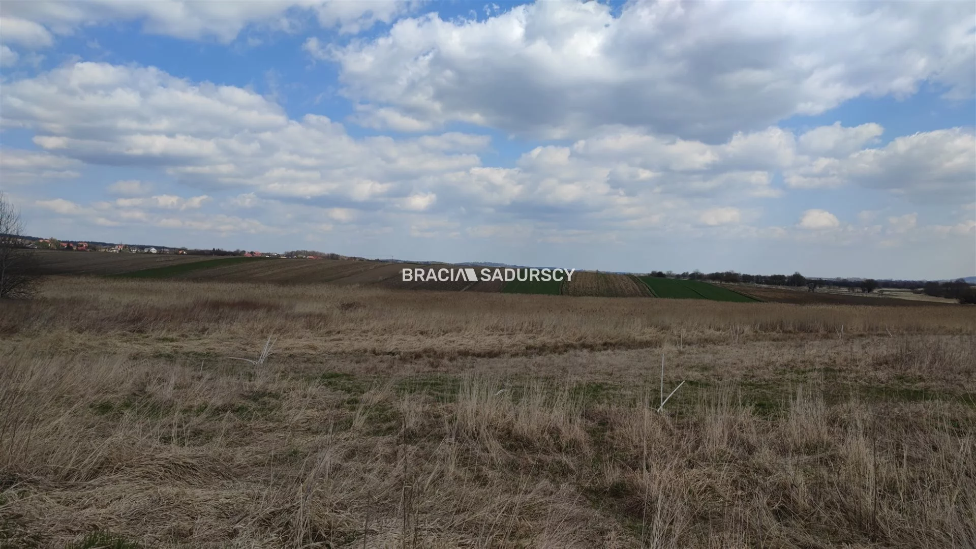 BS5-GS-286376-121 - zdjęcie nr 2