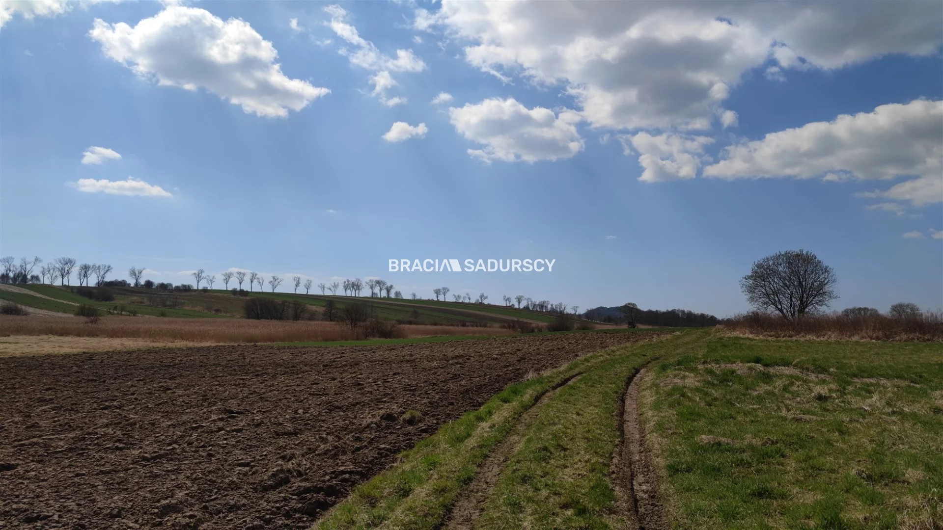 BS5-GS-286376-121 - zdjęcie nr 3