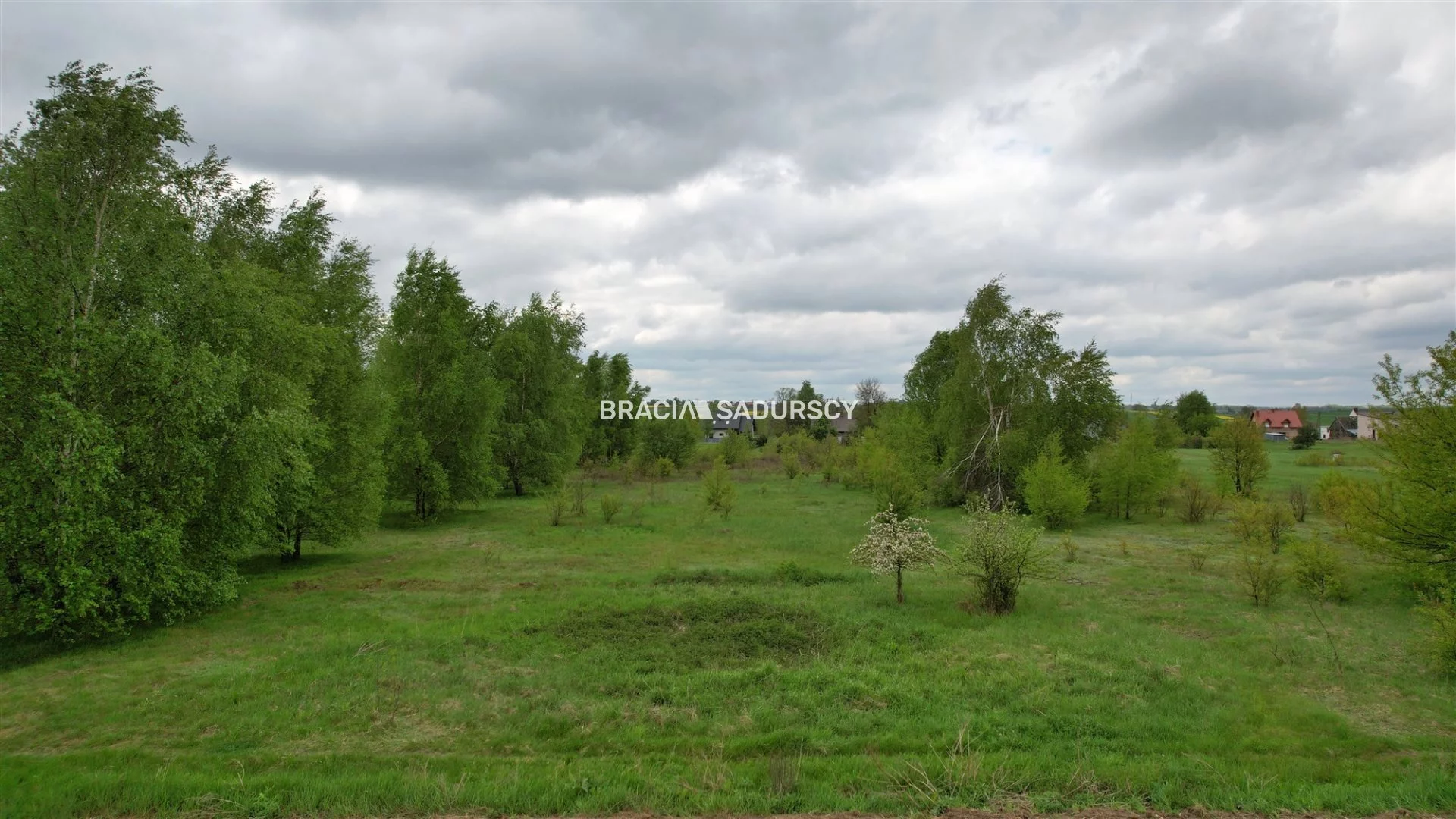 BS5-GS-294153-84 - zdjęcie nr 4